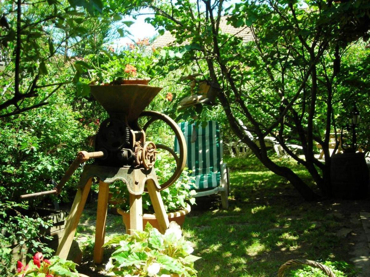Gite Charmant Avec Jardin Privatif, Proche Sites Historiques Et Activites De Plein Air - Fr-1-496-183 Cuinzier Exterior foto